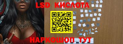 мдпв Камышлов