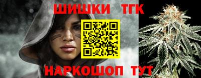 мдпв Камышлов