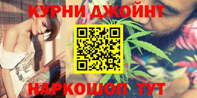 мдпв Камышлов