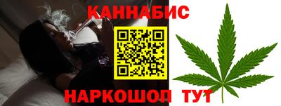 мдпв Камышлов