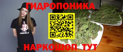 Альфа ПВП Кандалакша