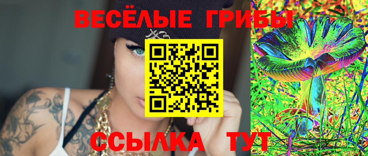 Псилоцибиновые грибы Psilocybe Шелехов